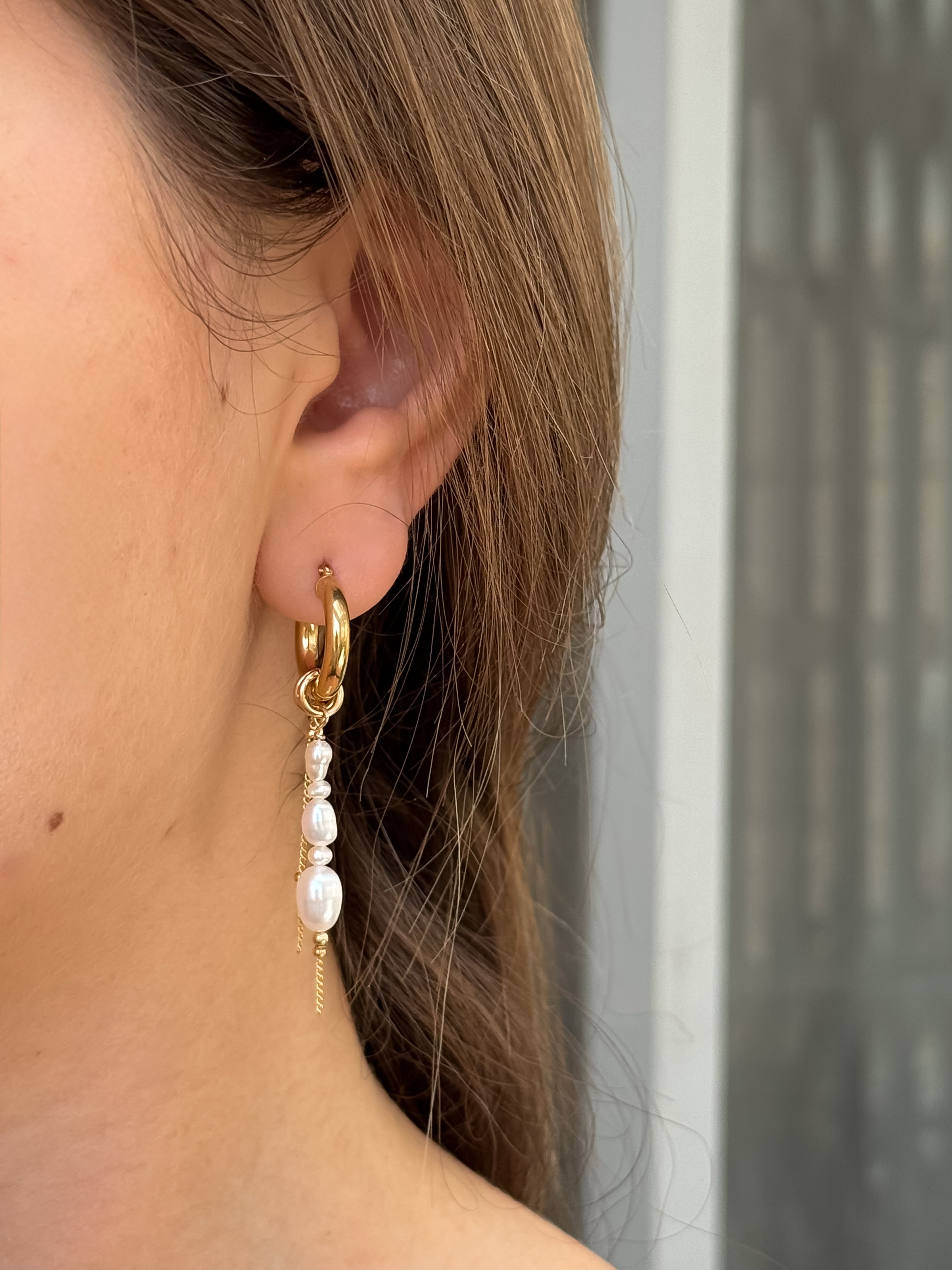 עגילי היילי