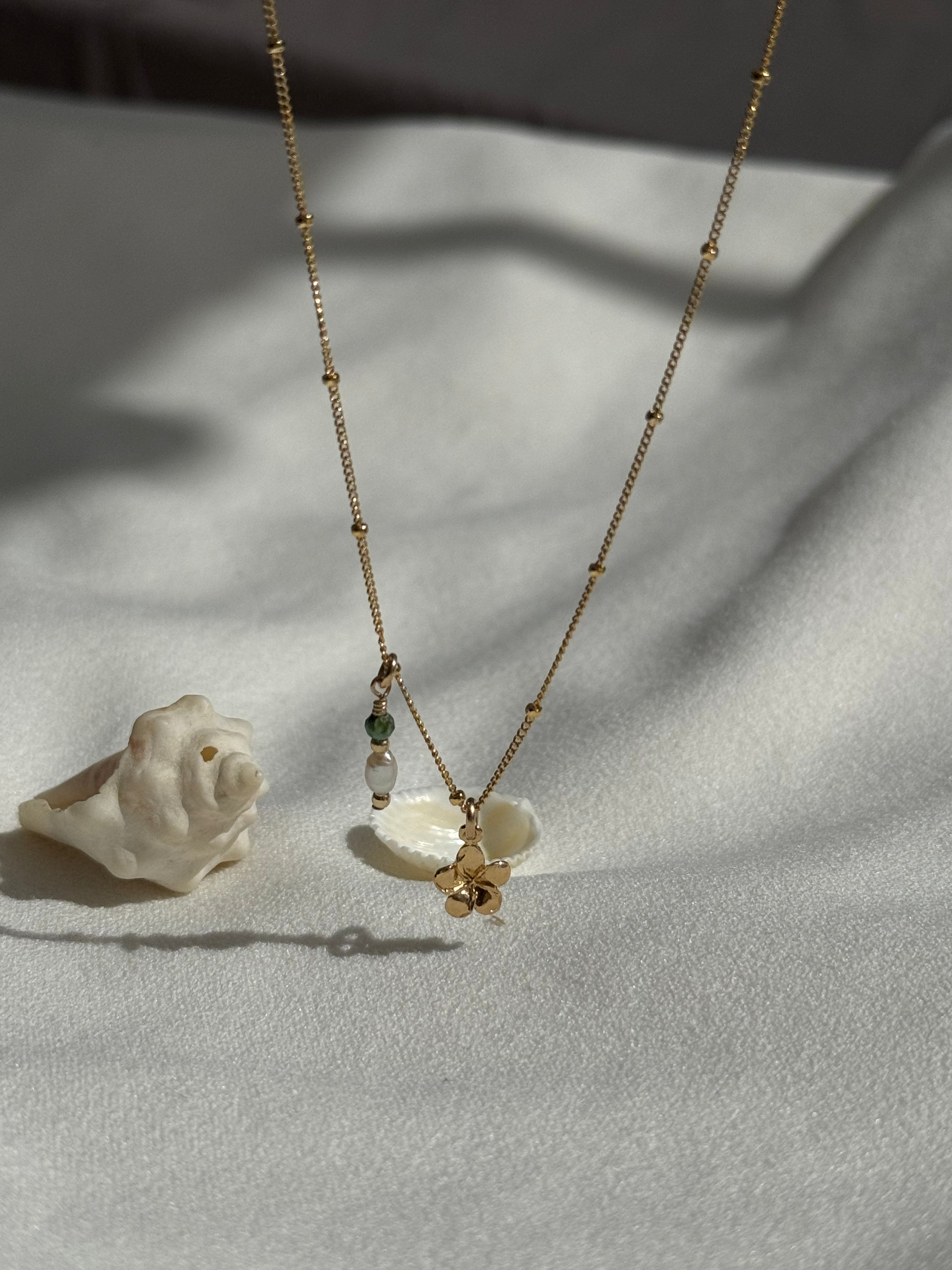 שרשרת ג׳ולי