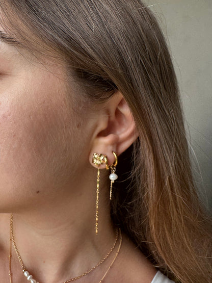 עגילי מואנה