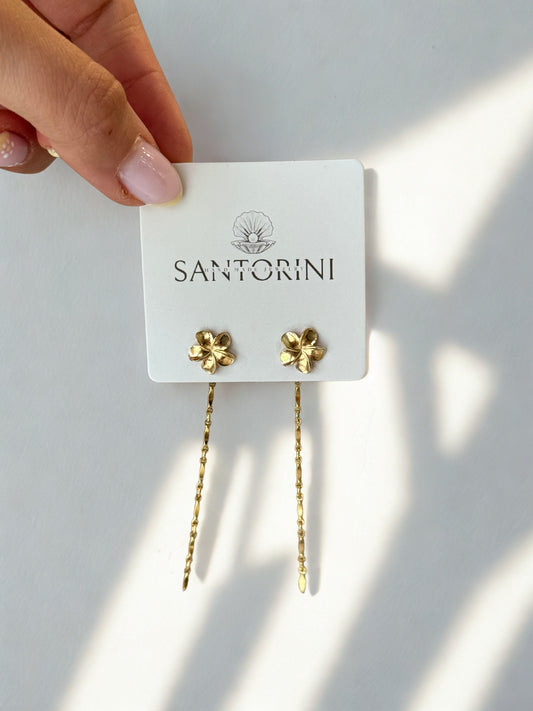 עגילי מואנה